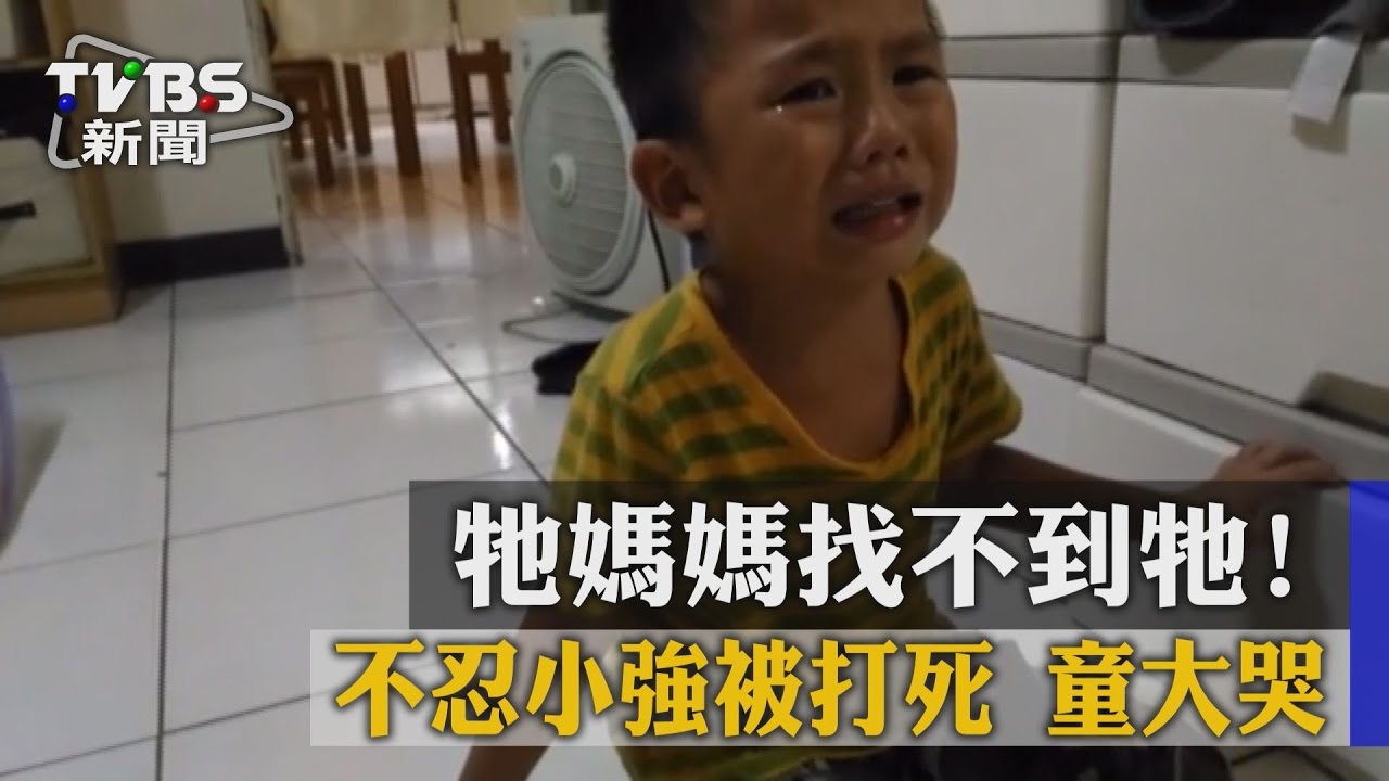 牠媽媽找不到牠!不忍小強被打死 善良童大哭