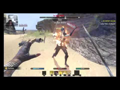 Elder Scrolls Online| A Fresh Start