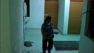 [討論] 賴品妤為什麼要說謊？