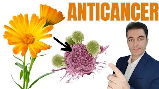 10 najjačih prirodnih antikancerogenih lijekova