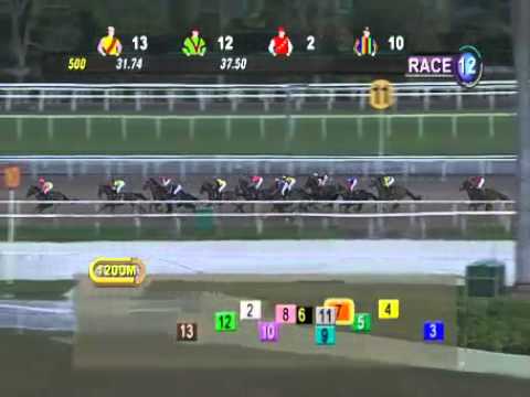 SINGAPORE RACE 06/04/2014 RACE 12 - iAgencyNet.com