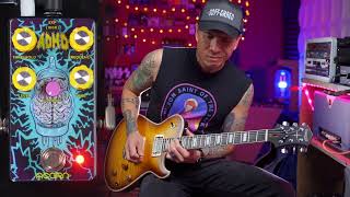 Video thumbnail for Acorn Amplifiers ADHD Synth Fuzz by R.J. Ronquillo