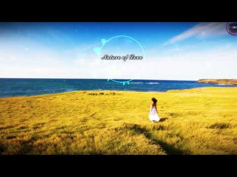 DJ GROSSU _ Nature of Love | Amazing Instrumental music Bass ( Official song )