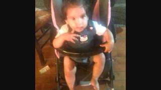 alicia-il katalicammello