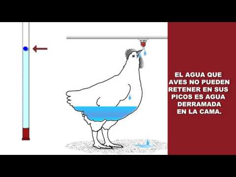 Fotograma del vídeo: Consumo de agua, Dinámico vs Estatico