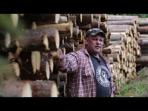 Metsä vastaa -tietopaketti - Kaukokuljetus ja tiet - Osa 4/8