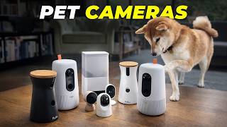 The Best Pet Cameras for 2026