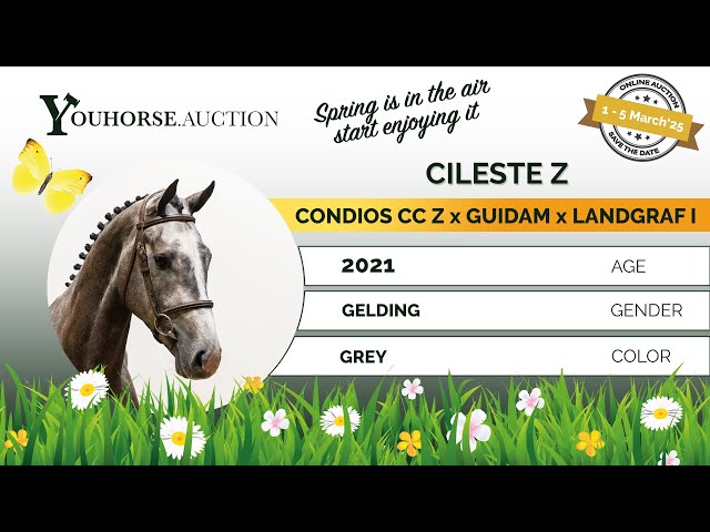 Cileste