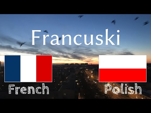 Ucz się przed pójściem spać - Francuski (Native Speaker)  - bez muzyki