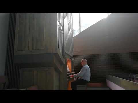 Maan korvessa kulkevi lapsosen tie (Suojelusenkeli), virsi 971