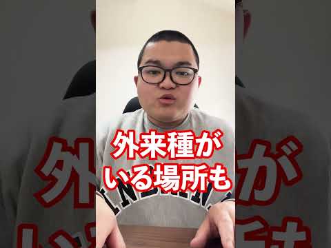 猫を「外来種」に分類:研究者らは奇妙な決定を下す – 彼らは逆風を予想していなかった