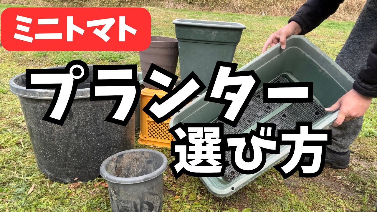 「予習」ミニトマトに最適なプランター【材質、サイズ、底の形状】