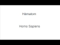 Hämatom - Homo sapiens 
