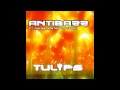 Antibazz - Tulips 