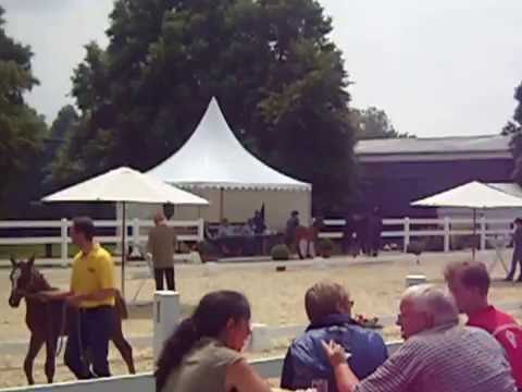 Quali für Lienen 2016 - Schrittring