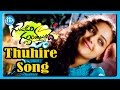 Thuhire Song - Gunde Jaari Gallanthayyinde Movie Songs - Nitin - Nithya Menon