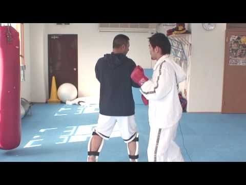 総合格闘技の基本14　前蹴りに対する防御からの反撃