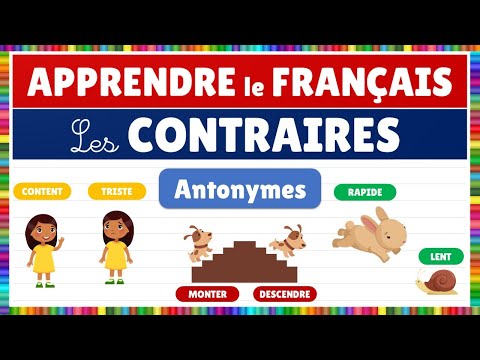 Vidéo 4