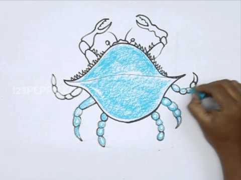 How to Draw a Blue Crab