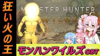 狂い火のワイルズ【MHWildsOBT】