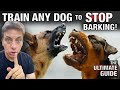 How To STOP Any Dog From Excessive Barking: The Ultimate Guide.