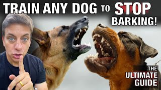 How To STOP Any Dog From Excessive Barking: The Ultimate Guide.