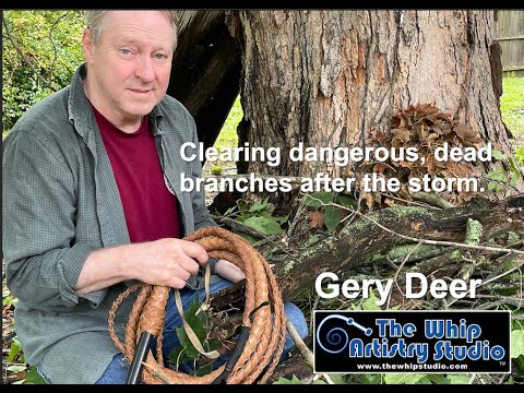 The Whip Artistry Studio - Clearing dangerous branches after the storm - with a whip - Gery Deer