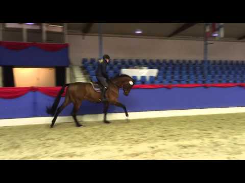 Kat. Nr. 12 Diamo Blue