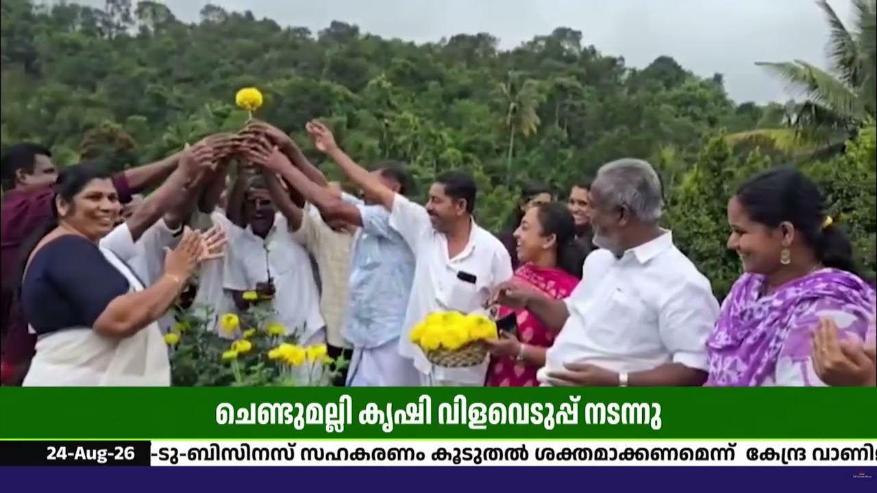 ഓണത്തിന് പൂക്കാലമൊരുക്കി ഇടുക്കി! | ചെണ്ടുമല്ലി കൃഷ?