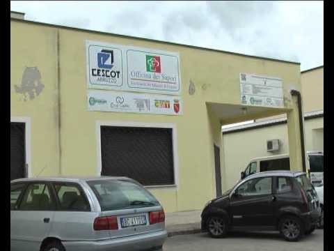 ONDA TG 28.10.2013 - SULMONA: LE EDICOLE IN RETE, INIZIATIVA  PROMOSSA DAL CESCOT