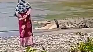 Download lagu Viral emak emak 'ngobrol' Buaya Berkalung Ban Muncul Sungai Palu, Seorang Wanita Berhijab Mendekati mp3 Download lagu Viral emak emak 'ngobrol' Buaya Berkalung Ban Muncul Sungai Palu, Seorang Wanita Berhijab Mendekati mp3