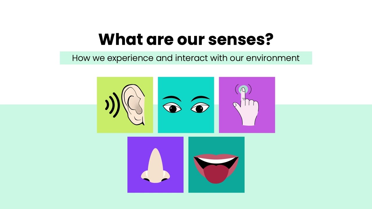 Sensory Processing for Schools V4