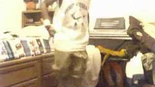 Footwork (Me) Novice