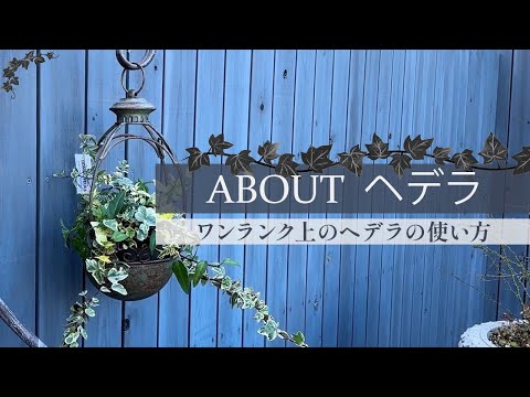 グレコーマ・ヘデラセア