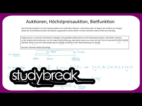 Auktionen, Höchstpreisauktion, Bietfunktion | Preistheorie