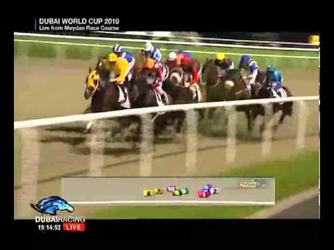 2010 Dubai Golden Shaheen   Kinsale King