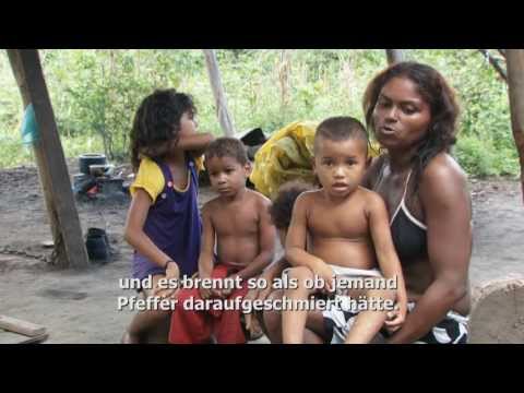 Part 3: Dangers to humans and the environment