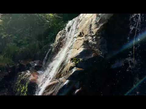 Senda de la Cascada de Aguas Cernidas (P.N. Lago de Sanabria y Sierras de Segundera y Porto (Zamora)