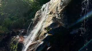 Senda de la Cascada de Aguas Cernidas (P.N. Lago de Sanabria y Sierras de Segundera y Porto (Zamora)