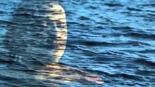 Jets Overhead - I Should Be Born