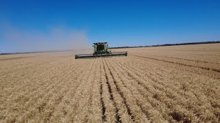 John Deere 9670 STS Wheat Harvest 2025