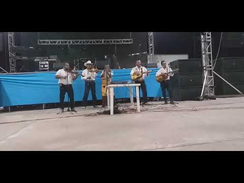 Dos Vicios-Grupo Hermanos Tapia