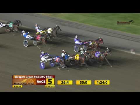October 29, 2016 Breeders Crown 2yo Fillies  Race 05
