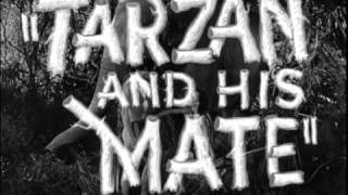 Tarzan and His Mate (1934) Video