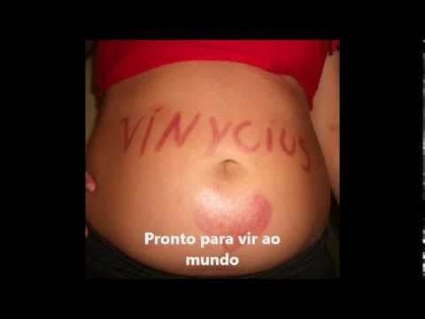 Vinycius Messias Guerra Vieira