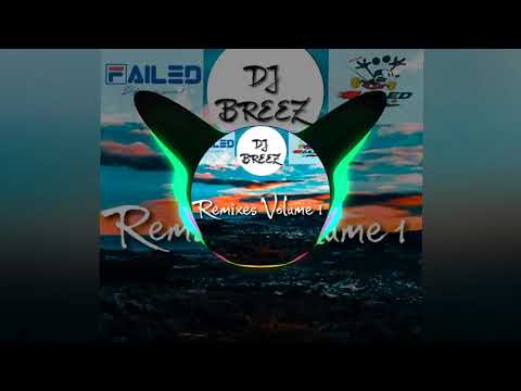 ICE - ACDMND$ (DJ Breez) (MashupSegueRmx)