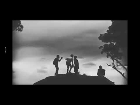 peace trance 🤑😉