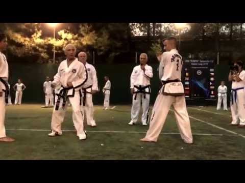 Master Vasilis Alexandris- ITF Taekwon-Do Kicking exercises- Olympos 2016
