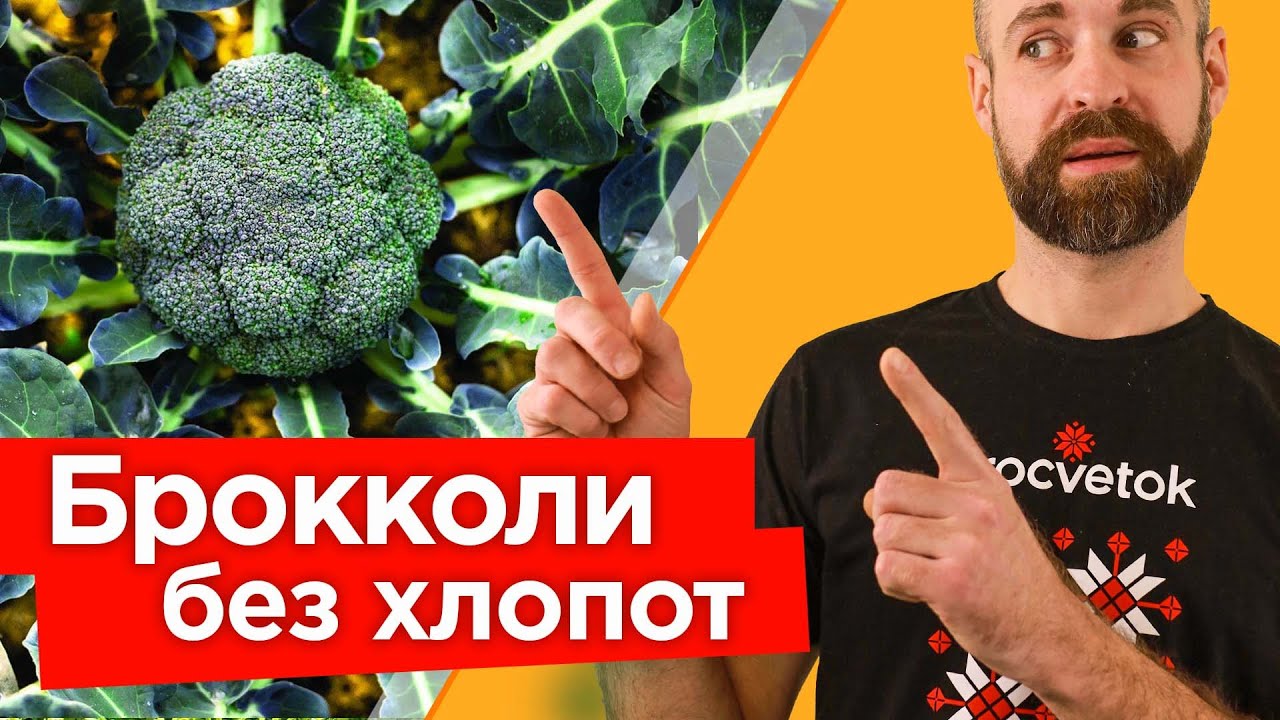 Техника посадки и схема размещения