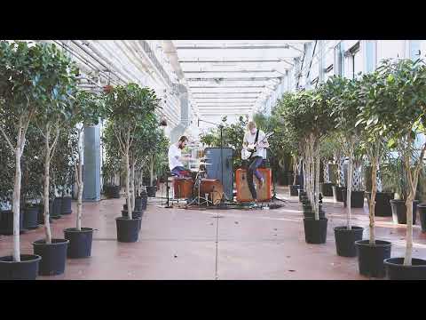 La Jungle - Hey Ha Hey Ha (Official live session video)